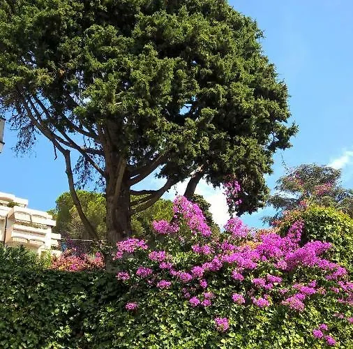 Art & Design Lejlighed